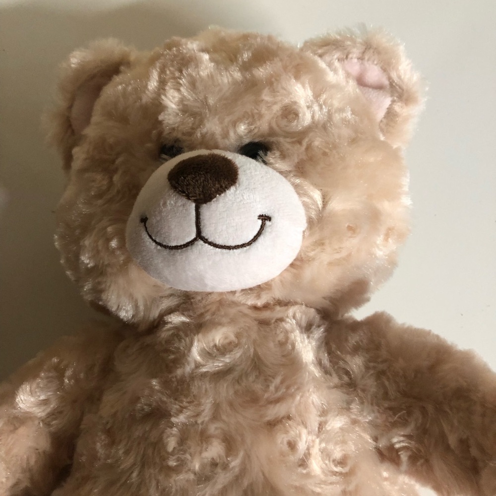 Build A Bear Bronson Children’s Hospital  Bear - Picture 3 of 5